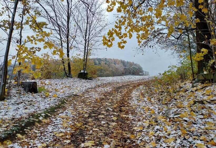 Landhotel Waldschlößchen Mit Gaststube