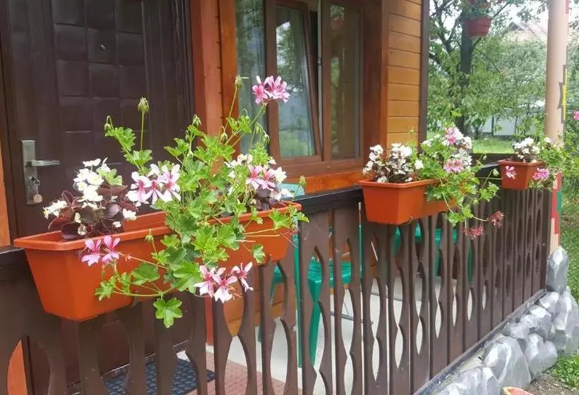 ペンション садиба гуцулка ксеня