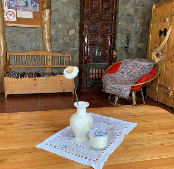 Vandrarhem будинок художника