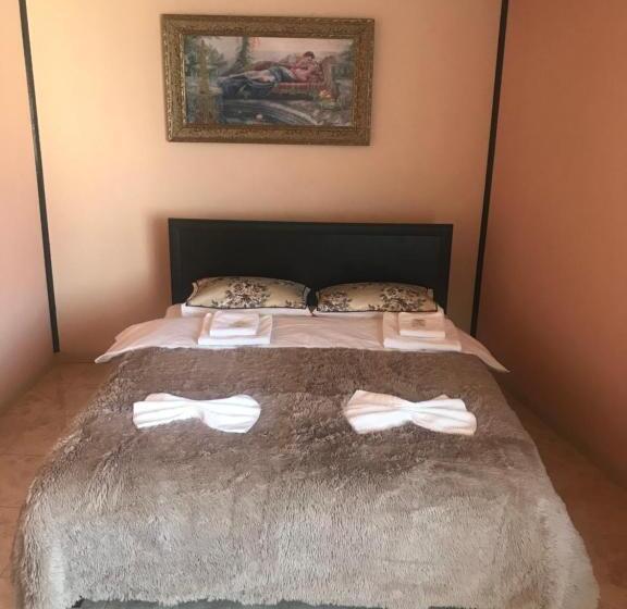 בית מלון כפרי пані анна