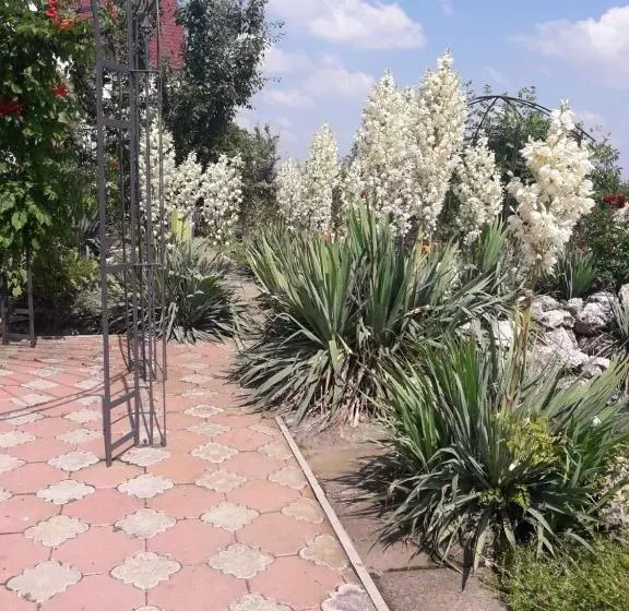 Hotelli пані анна