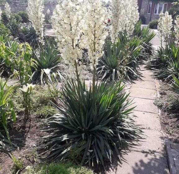 בית מלון כפרי пані анна