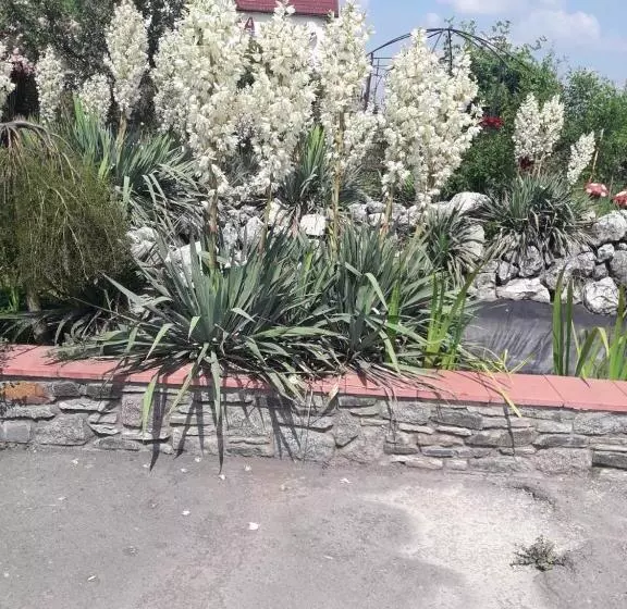 Hotelli пані анна