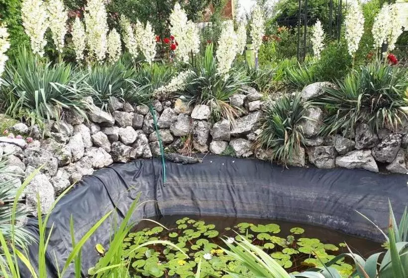 Hotelli пані анна