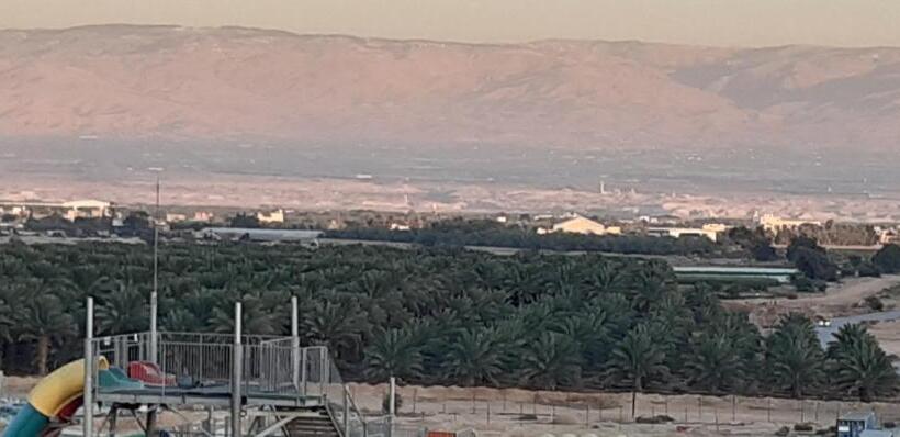 هتل Dolphin Suites