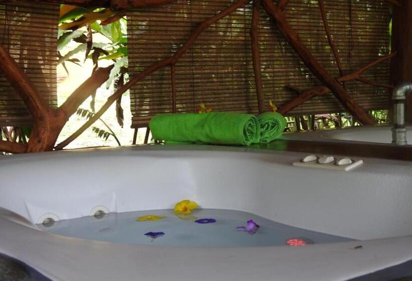 酒店 Rio Celeste Finca L´ Etoile Celeste