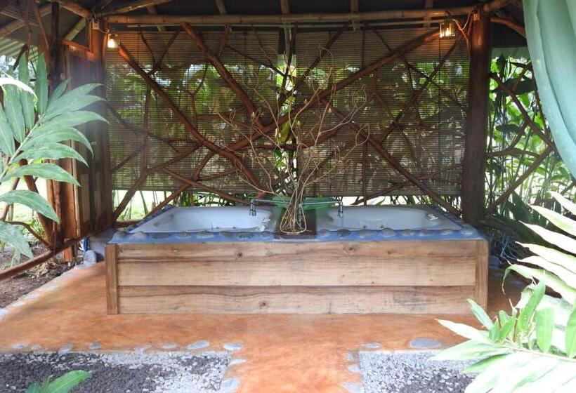 酒店 Rio Celeste Finca L´ Etoile Celeste