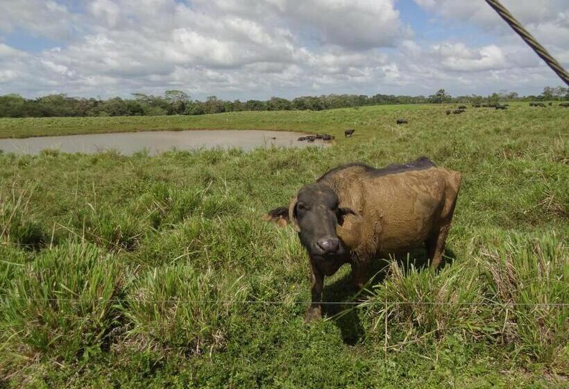 酒店 Rio Celeste Finca L´ Etoile Celeste