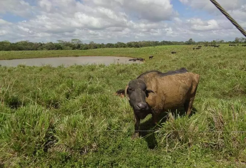 Hotelli Rio Celeste Finca L´ Etoile Celeste