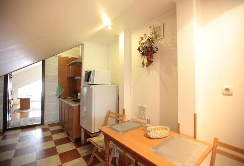 펜션 апартаменти в центрі трускавця