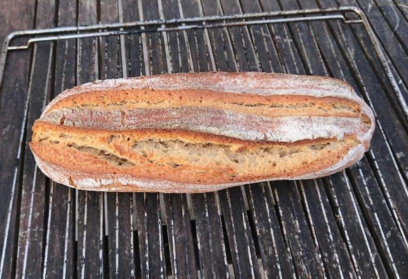 פנסיון Domaine Du Bel Air