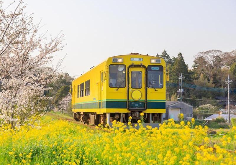 בית מלון כפרי Green Hill Otaki