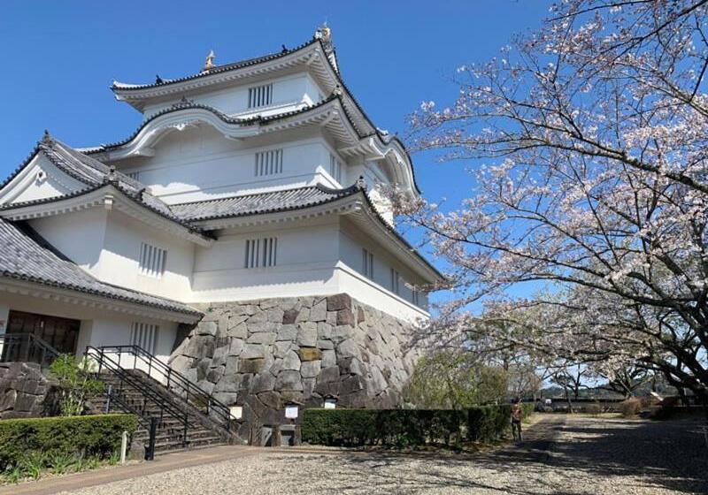 בית מלון כפרי Green Hill Otaki