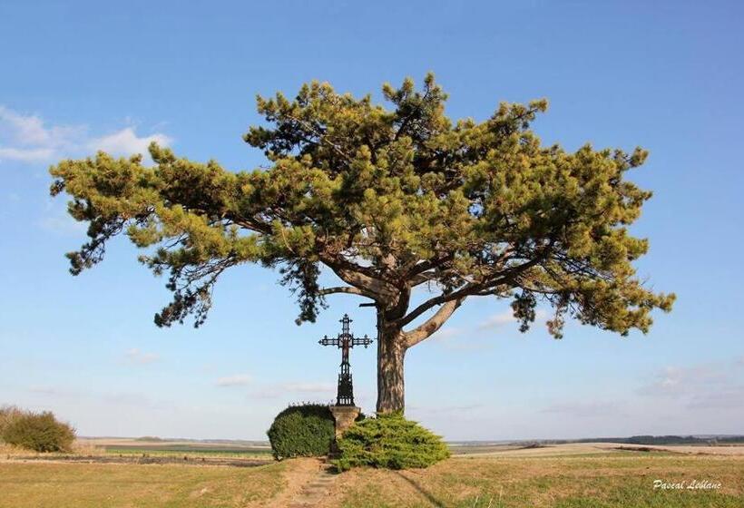 민박 Auberge Du Pied Des Monts