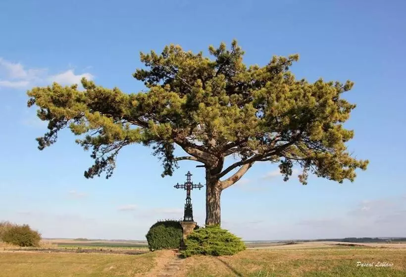 Aamiaismajoitus (B&B) Auberge Du Pied Des Monts