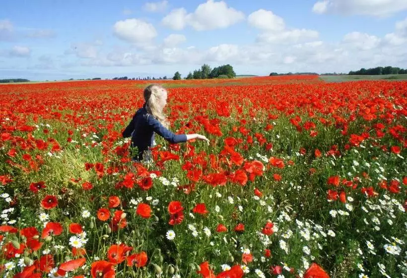Aamiaismajoitus (B&B) Gästehaus Landgut Lischow