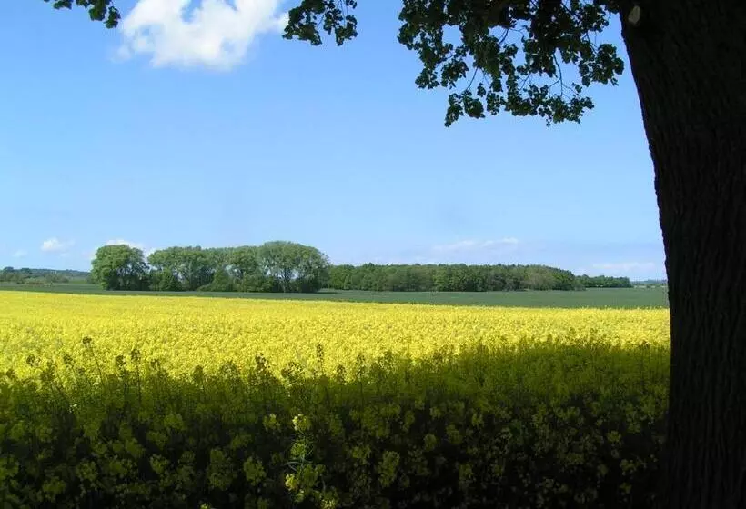 Aamiaismajoitus (B&B) Gästehaus Landgut Lischow