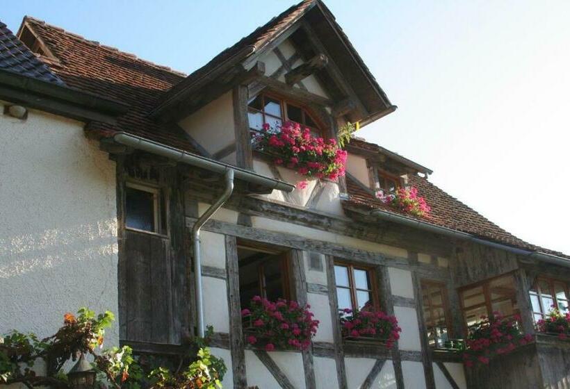 민박 Gästehaus Theresia Garni