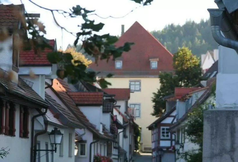 Aamiaismajoitus (B&B) Gästehaus Theresia Garni