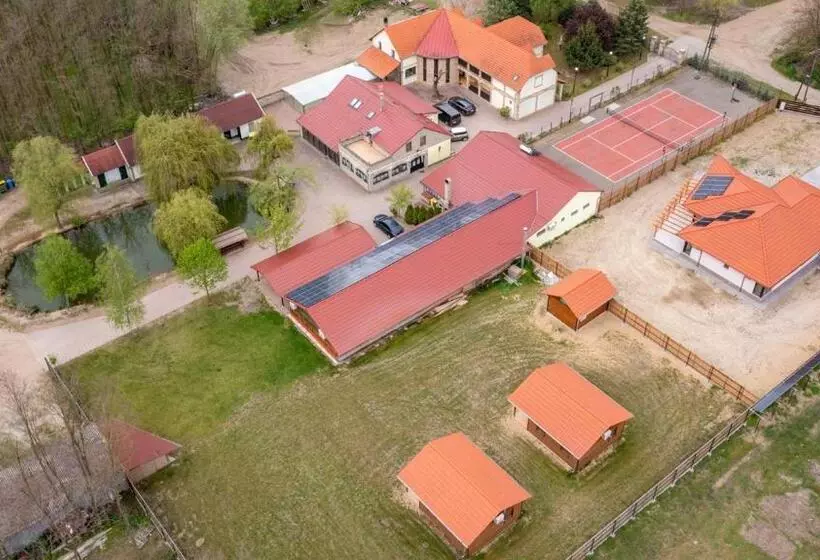 Bed and Breakfast Király Lovastanya Panzió