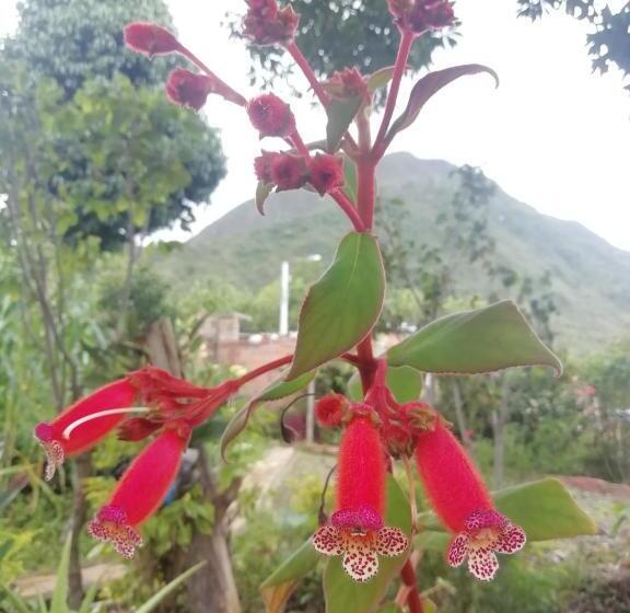 ホテル Casa Medina