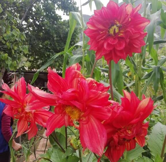 ホテル Casa Medina