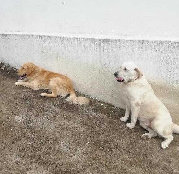 ホテル Casa Medina