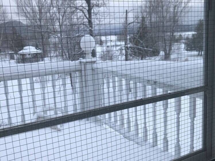 فندق Red Rock Inn