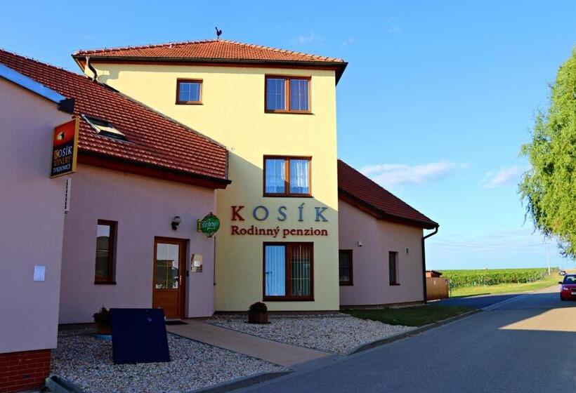 펜션 Penzion Kosík Tvrdonice