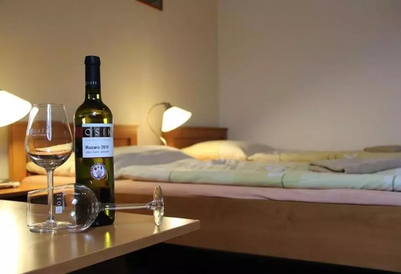 پانسیون Penzion Kosík Tvrdonice