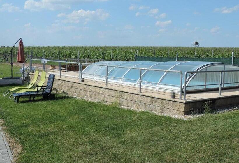 펜션 Penzion Kosík Tvrdonice