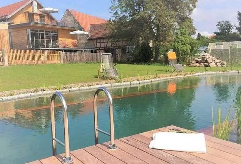 Retkeilymaja Brauhaus 3   Adults Only