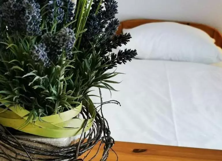 Retkeilymaja Restaurant San Marco