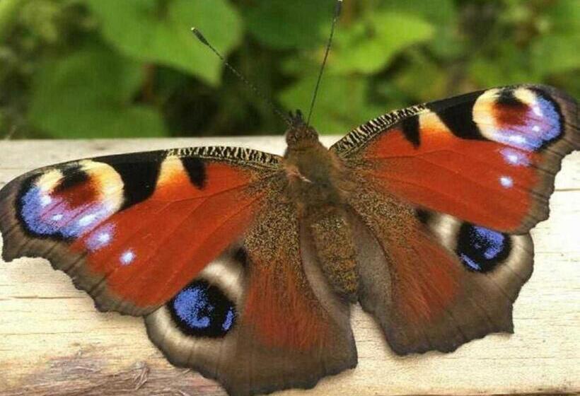 호텔 Ferienwohnungen Im Bauernhaus _ Ob