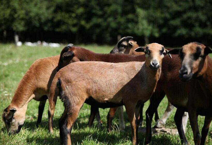 호텔 Ferienwohnungen Im Bauernhaus _ Ob
