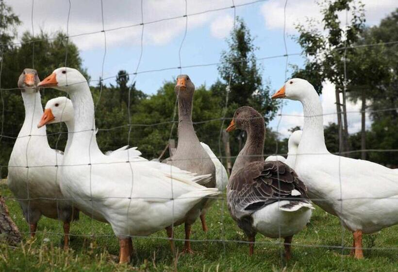 호텔 Ferienwohnungen Im Bauernhaus _ Ob