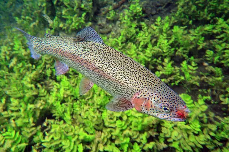 Hotelli Lodge Hôtel De Sommedieue Verdun