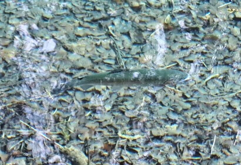 호텔 Lodge Hôtel De Sommedieue Verdun