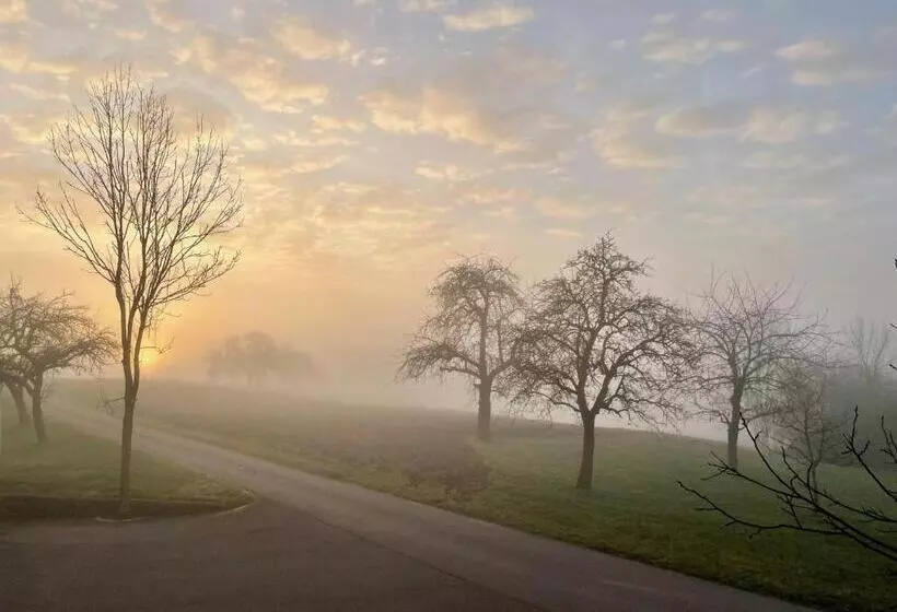 Landhotel Steigenhaus