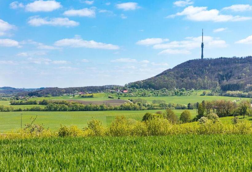 Landhotel Steigenhaus