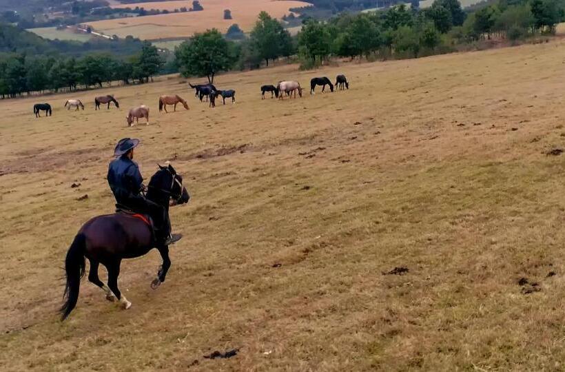 פנסיון Guest House Villa Bozhenitsa