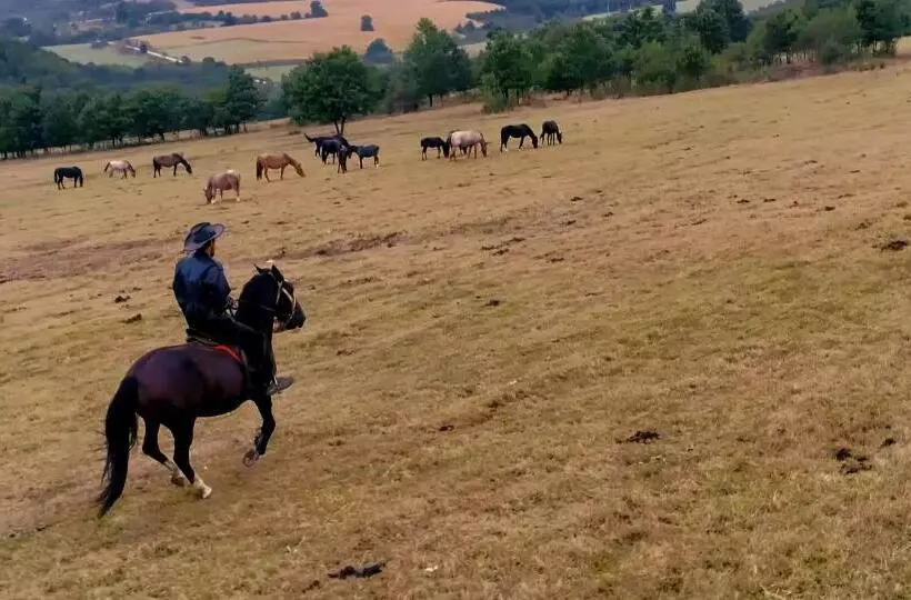 Majatalo Guest House Villa Bozhenitsa