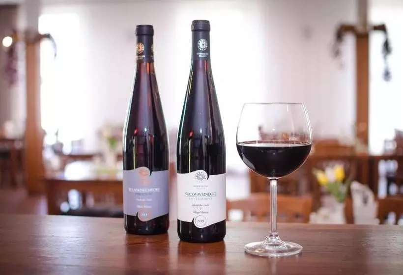 ペンション Penzion U Kostela