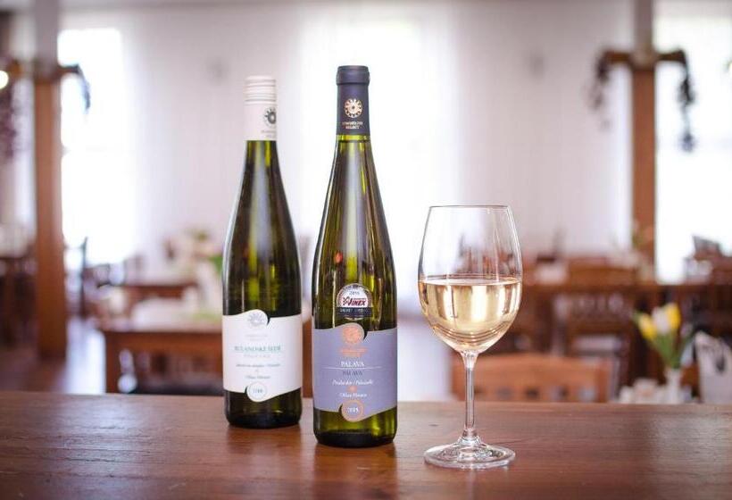 펜션 Penzion U Kostela