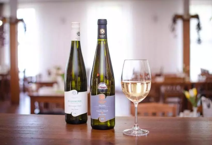 ペンション Penzion U Kostela