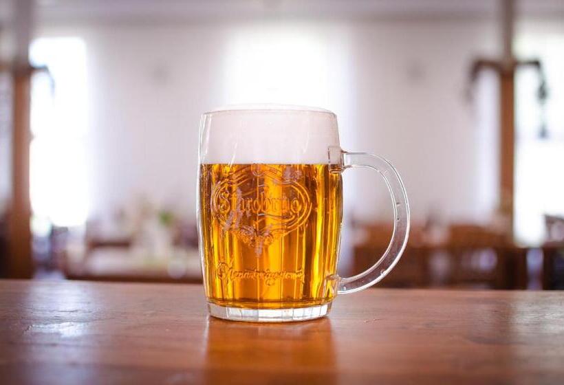 펜션 Penzion U Kostela