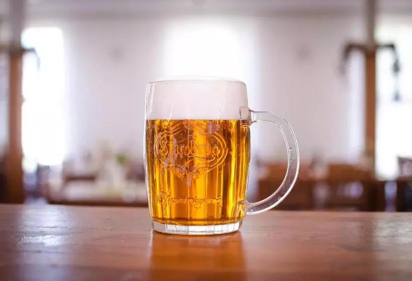 ペンション Penzion U Kostela