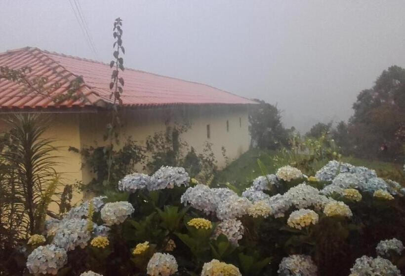 ペンション Sitio Pinhal