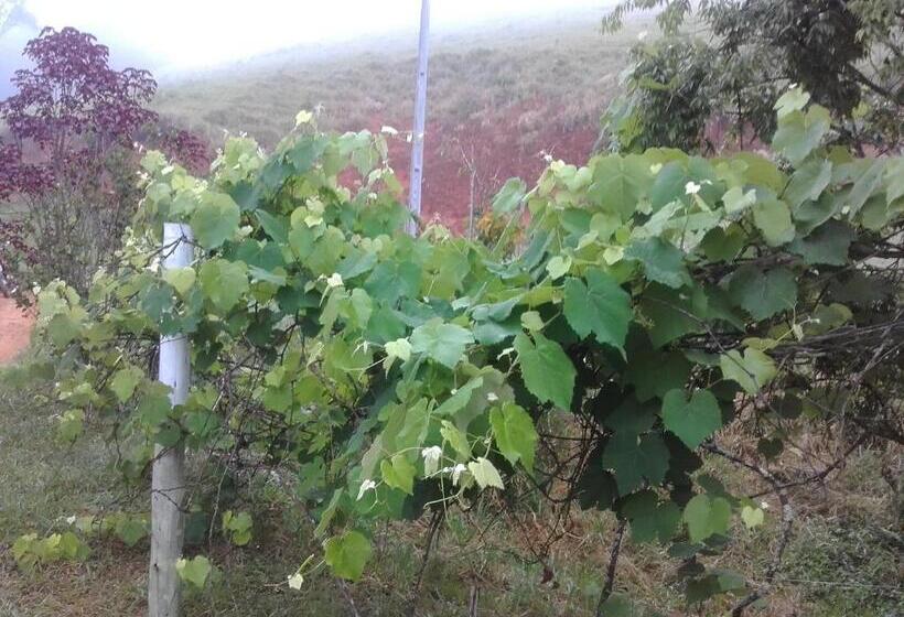 ペンション Sitio Pinhal