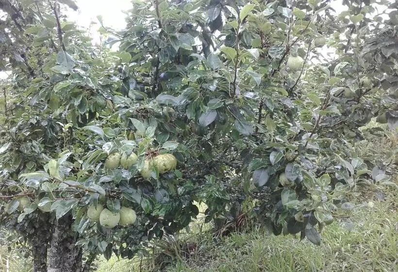 Majatalo Sitio Pinhal